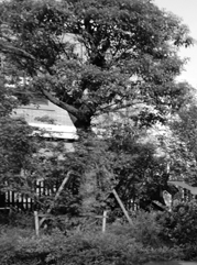 舞阳注册公司